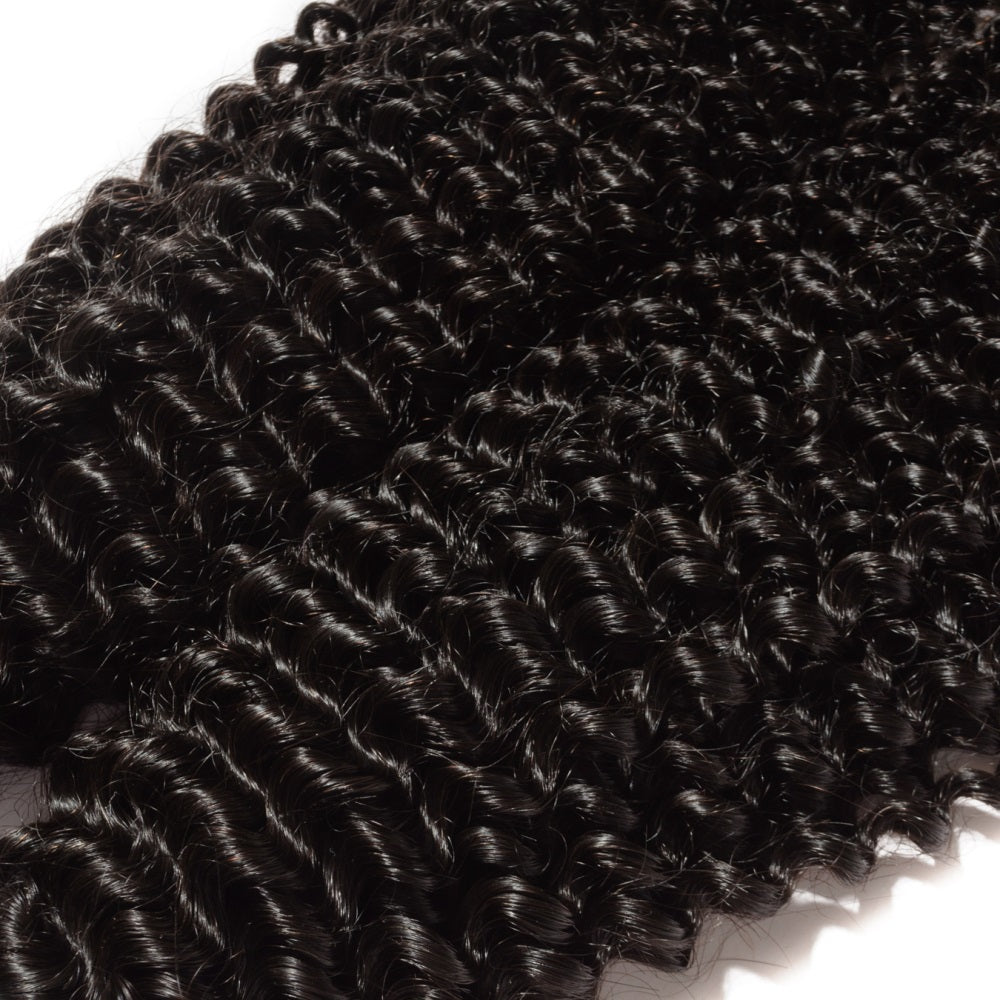 Kinky Curly Hair | Premium Texture Experience